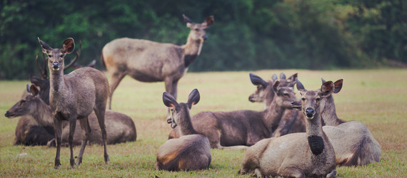 Similar image 8278070