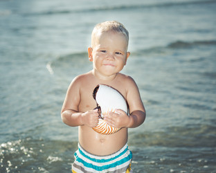 Similar image 8278077