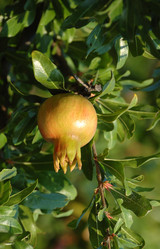 Similar image 8278103