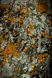 Similar image 8278132