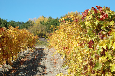 Similar image 8278153