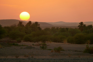 Similar image 8278306