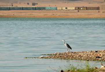 Similar image 8278316