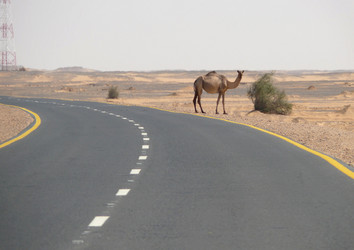 Similar image 8278324