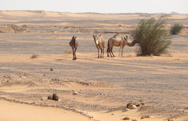 Similar image 8278325