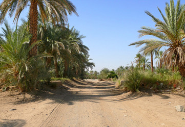 Similar image 8278336