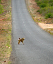 Similar image 8278352