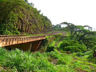 Similar image 8278373