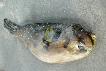 Similar image 8278411