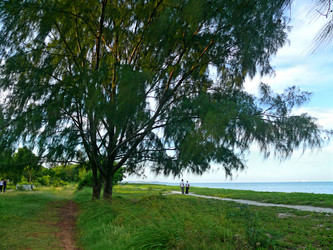 Similar image 8278414