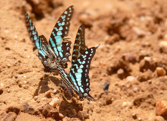 Similar image 8278418