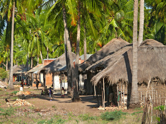 Similar image 8278432