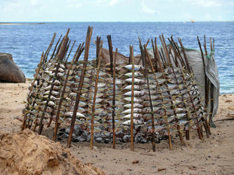 Similar image 8278437