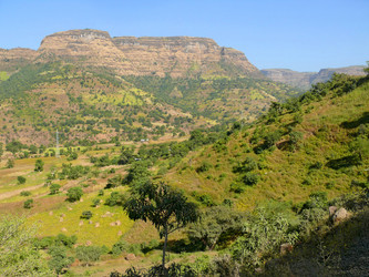 Similar image 8278484