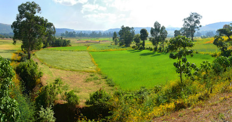 Similar image 8278493