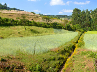 Similar image 8278510