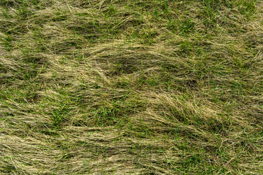 Similar image 8278512