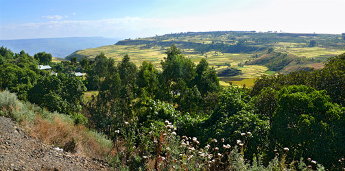 Similar image 8278582