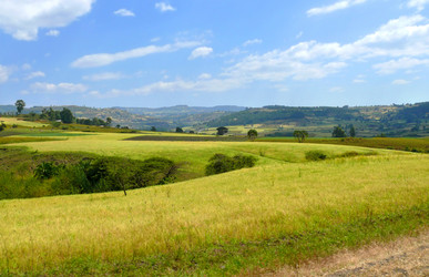 Similar image 8278588