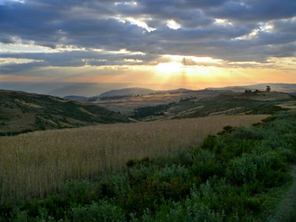 Similar image 8278600