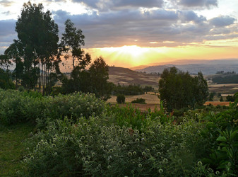 Similar image 8278603