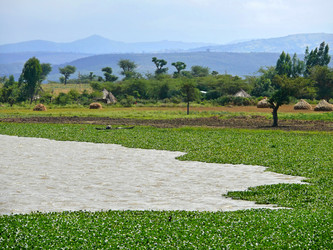 Similar image 8278616