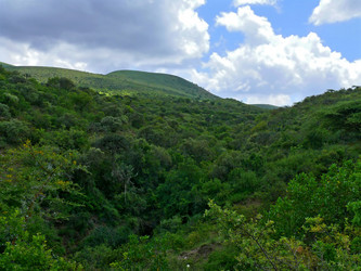 Similar image 8278631