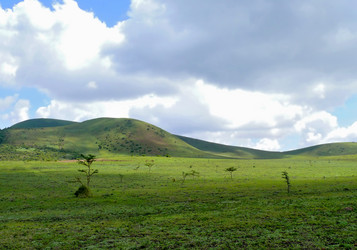 Similar image 8278632