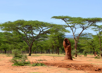 Similar image 8278644