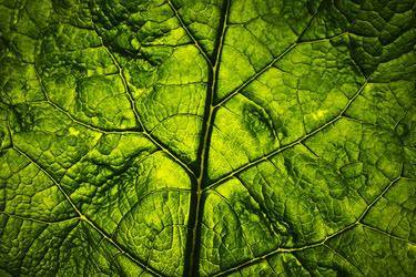 Similar image 8278664