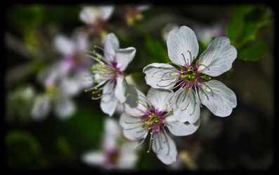 Similar image 8278665