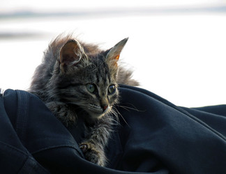 Similar image 8278682