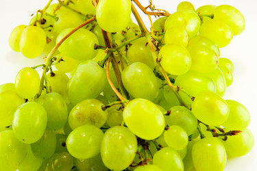 Similar image 8278731