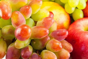 Similar image 8278732