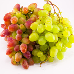 Similar image 8278733