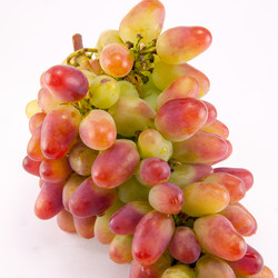 Similar image 8278734