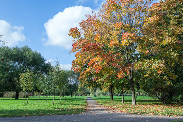 Similar image 8278832