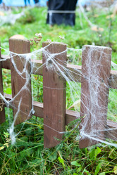 Similar image 8278849