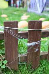 Similar image 8278851