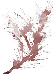 Similar image 8278936