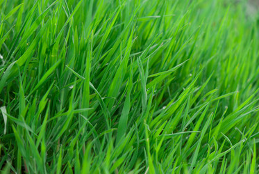 Similar image 8278976