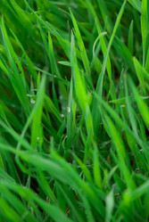 Similar image 8278977