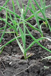 Similar image 8278978