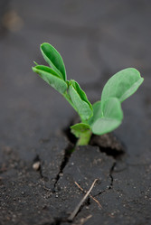 Similar image 8278980