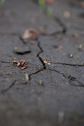 Similar image 8278981