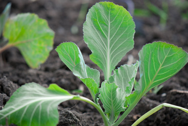 Similar image 8278993