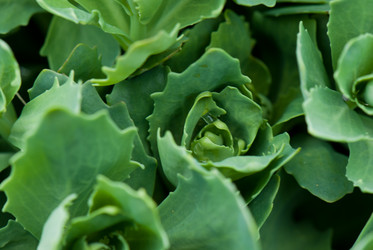 Similar image 8278994