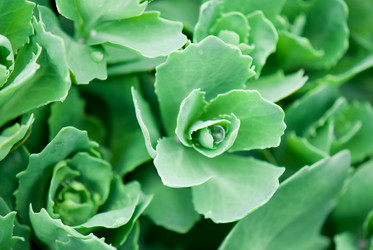 Similar image 8278995