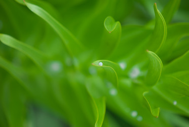 Similar image 8278996