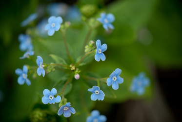 Similar image 8278999